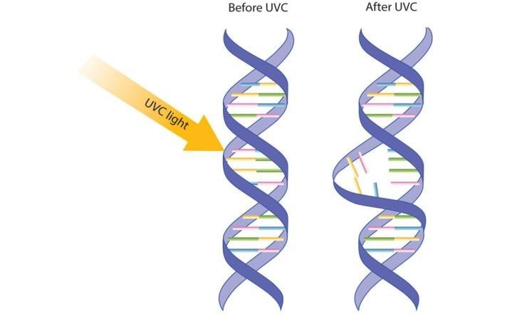 UVC ακτινοβολία για αποστείρωση